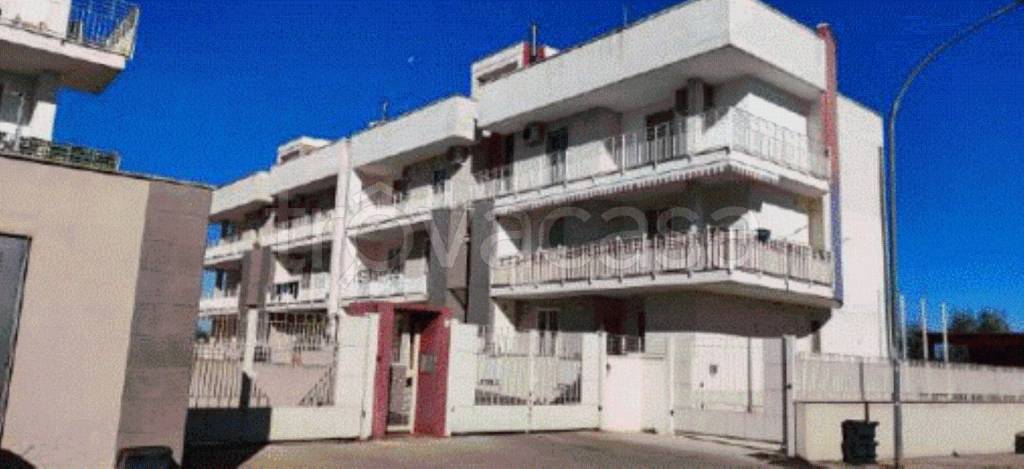 immagine annuncio 9 di 13