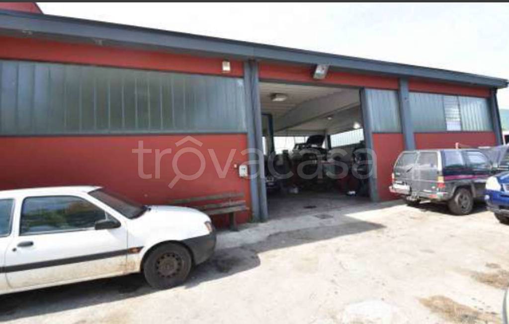 immagine annuncio 8 di 12