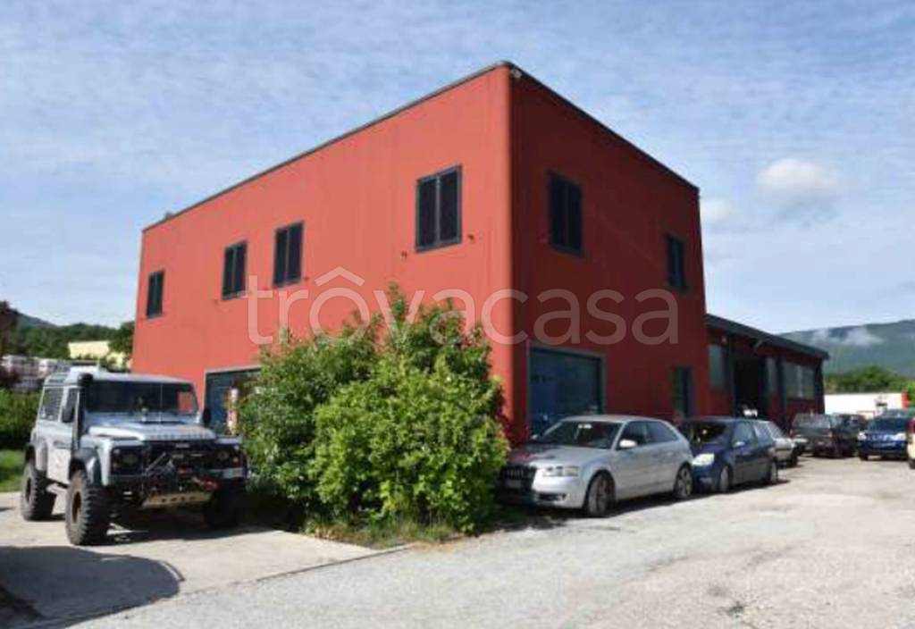 immagine annuncio 11 di 12