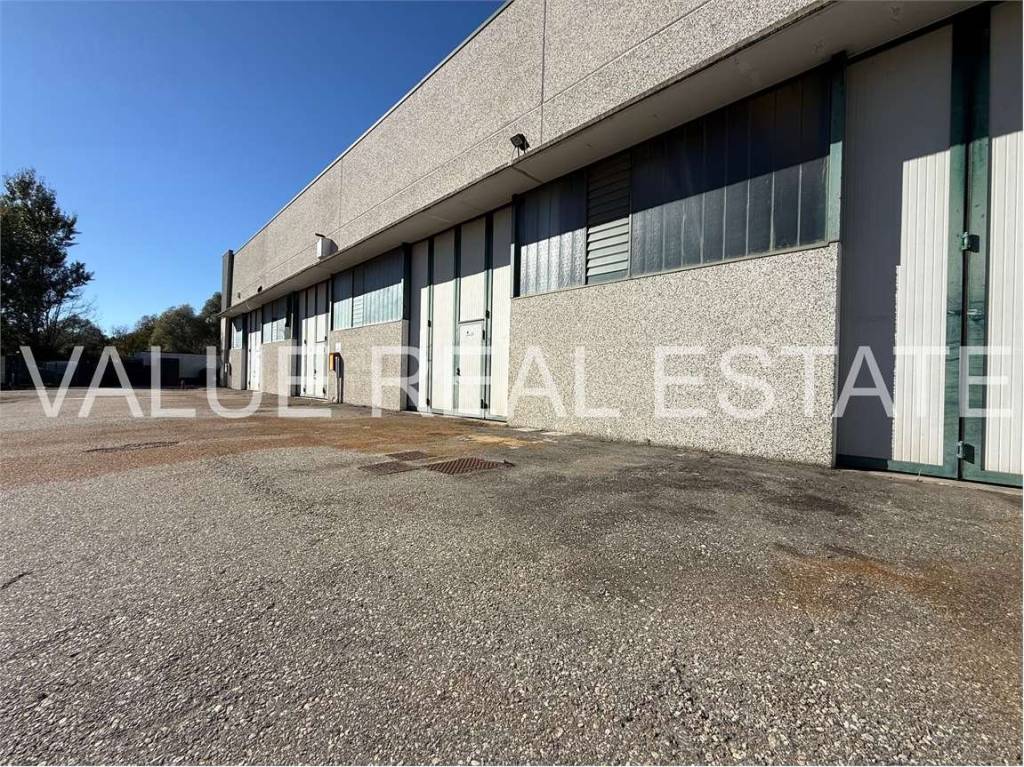 immagine annuncio 9 di 15