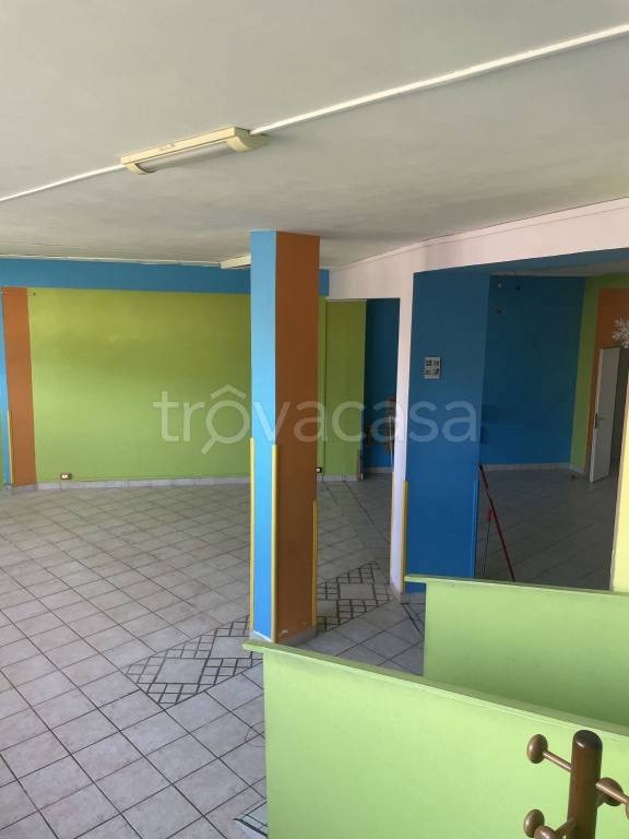 immagine annuncio 2 di 13