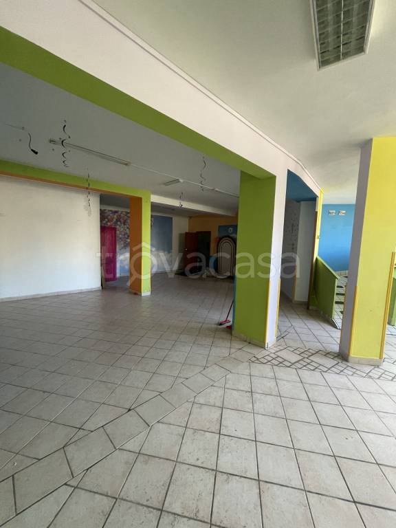 immagine annuncio 5 di 13