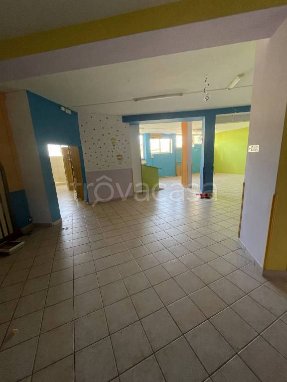 immagine annuncio 9 di 13