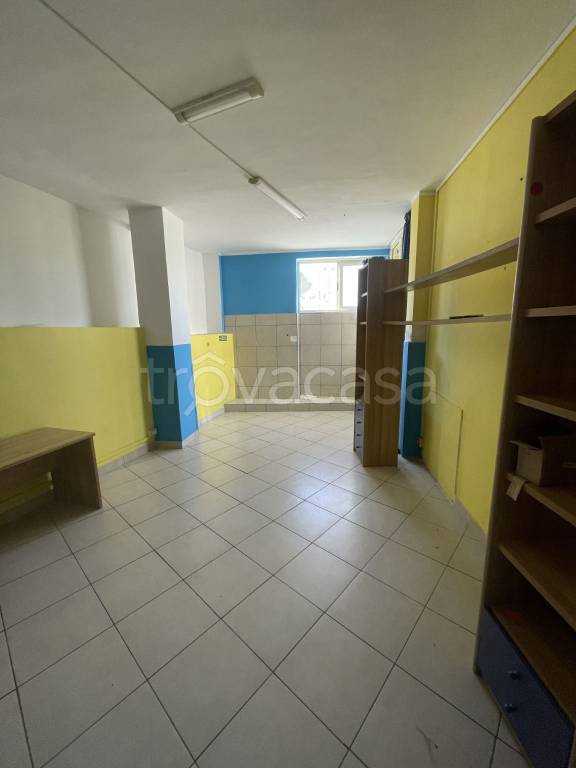 immagine annuncio 11 di 13