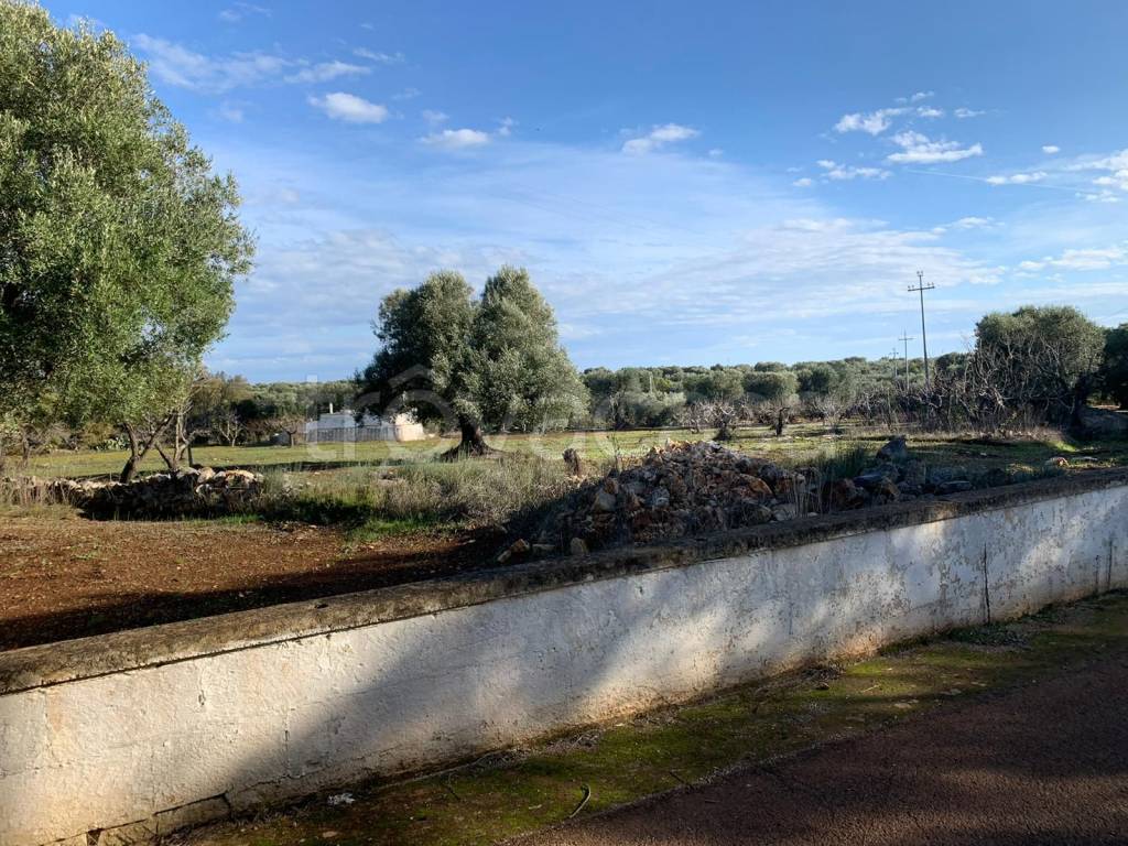 immagine annuncio 4 di 9