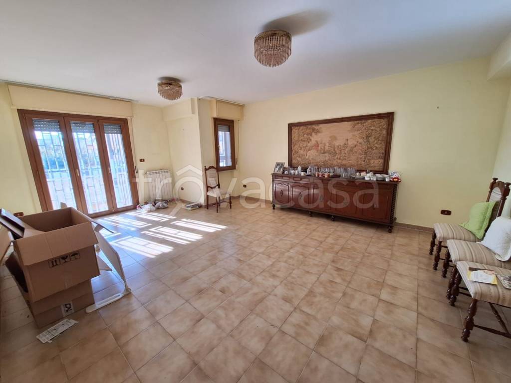 immagine annuncio 6 di 12