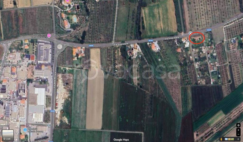 immagine annuncio 12 di 13