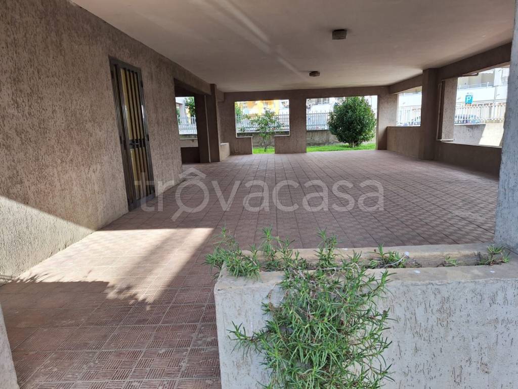 immagine annuncio 9 di 12