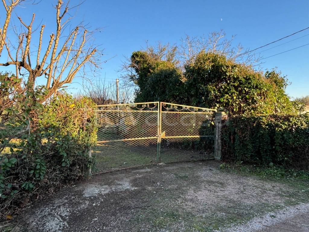 immagine annuncio 2 di 13