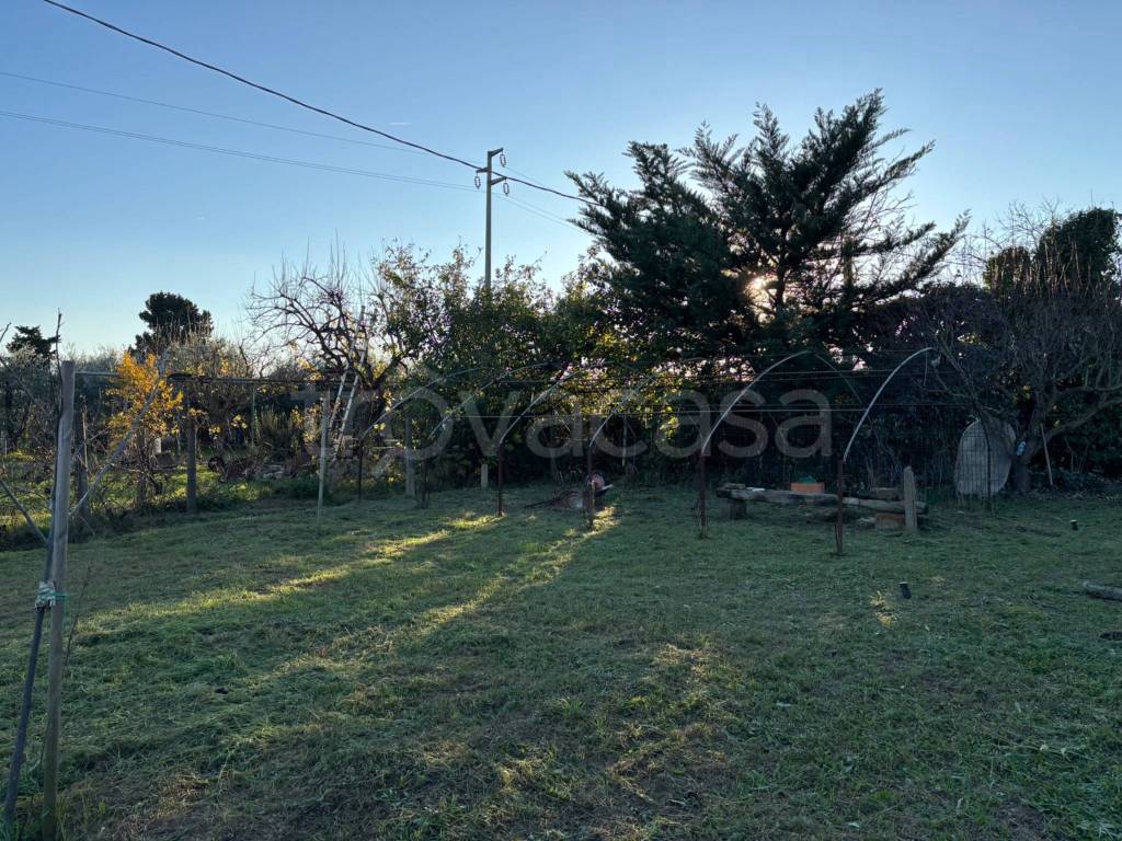 immagine annuncio 5 di 13