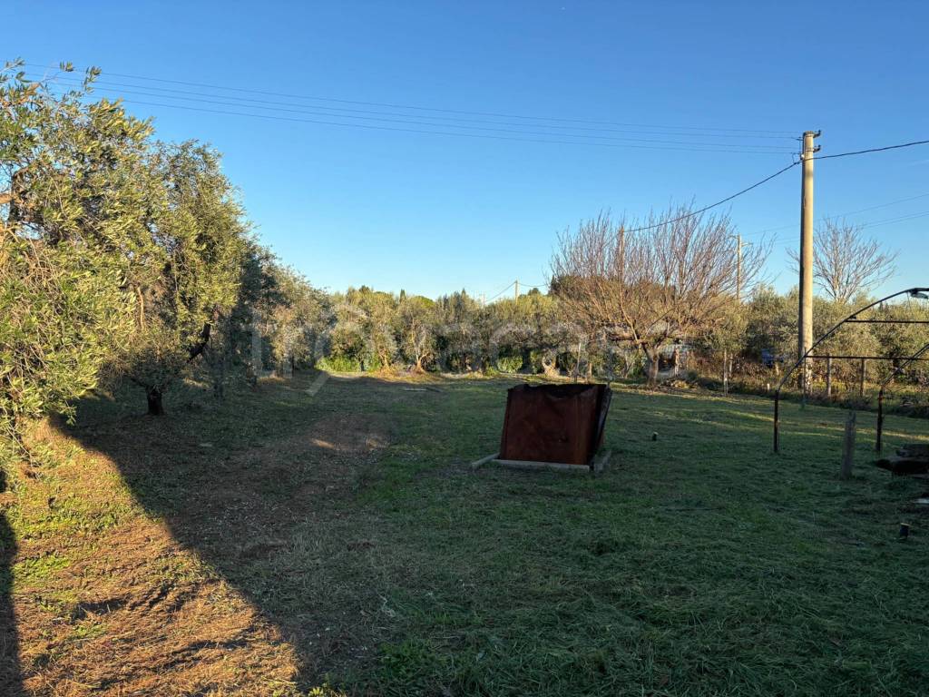 immagine annuncio 6 di 13