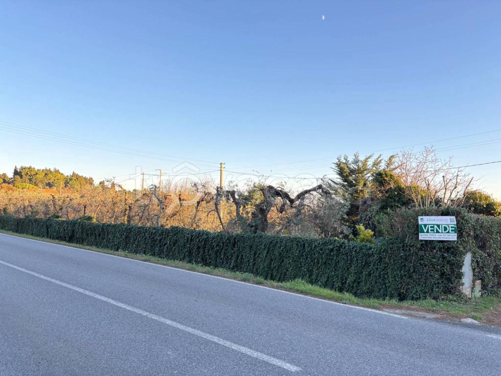 immagine annuncio 9 di 13