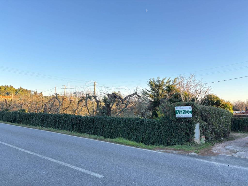 immagine annuncio 10 di 13