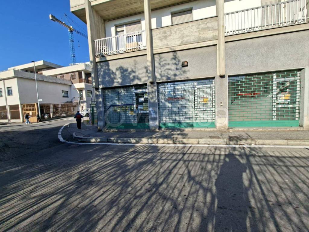 immagine annuncio 4 di 14