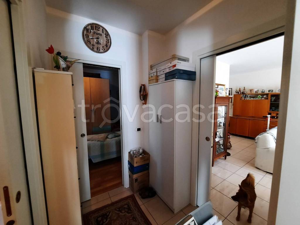 immagine annuncio 3 di 9