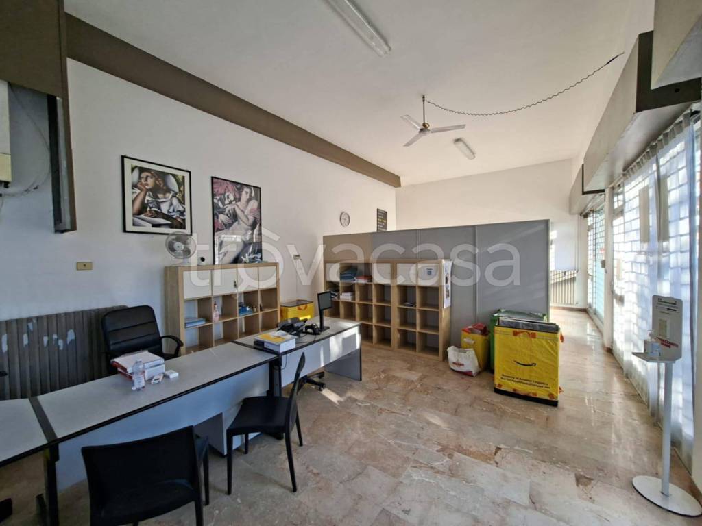 immagine annuncio 11 di 14