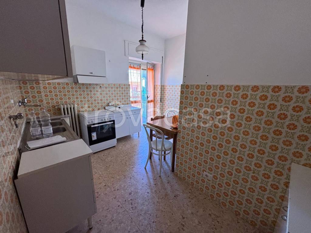 immagine annuncio 3 di 12