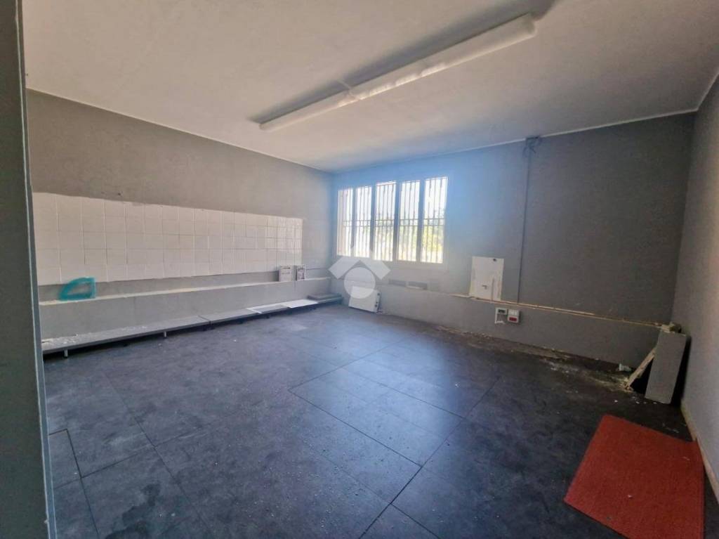 immagine annuncio 9 di 12