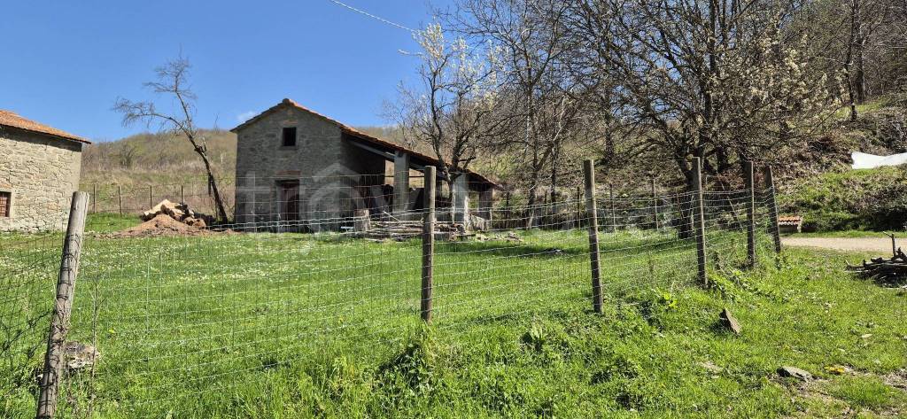 immagine annuncio 4 di 14