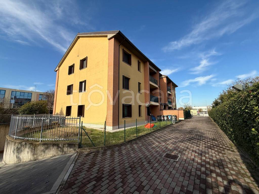 immagine annuncio 1 di 15