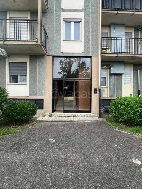 immagine annuncio 1 di 14