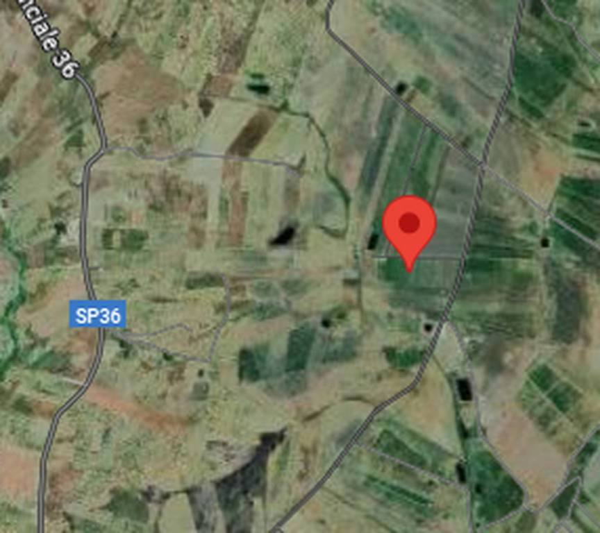 immagine annuncio 10 di 11