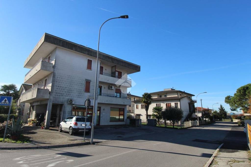 immagine annuncio 1 di 13