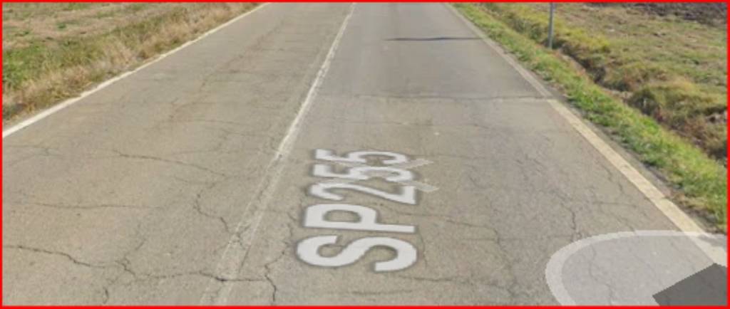 immagine annuncio 3 di 14