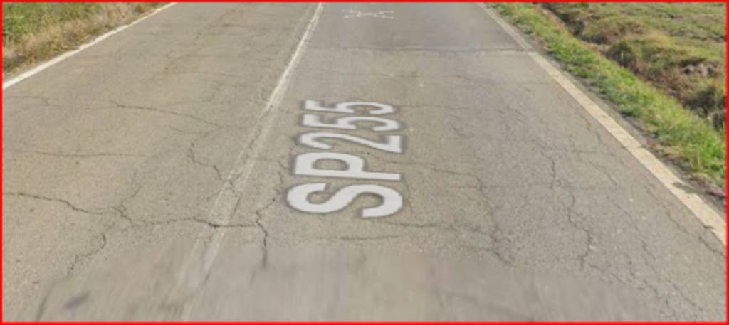 immagine annuncio 5 di 14