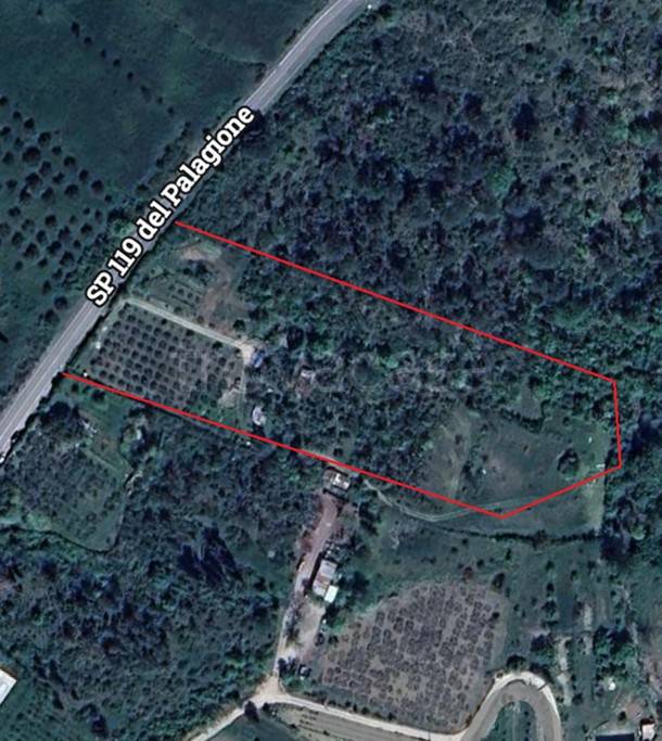 immagine annuncio 3 di 4