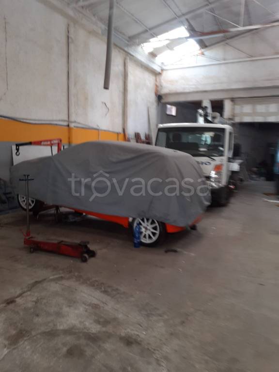 immagine annuncio 4 di 7