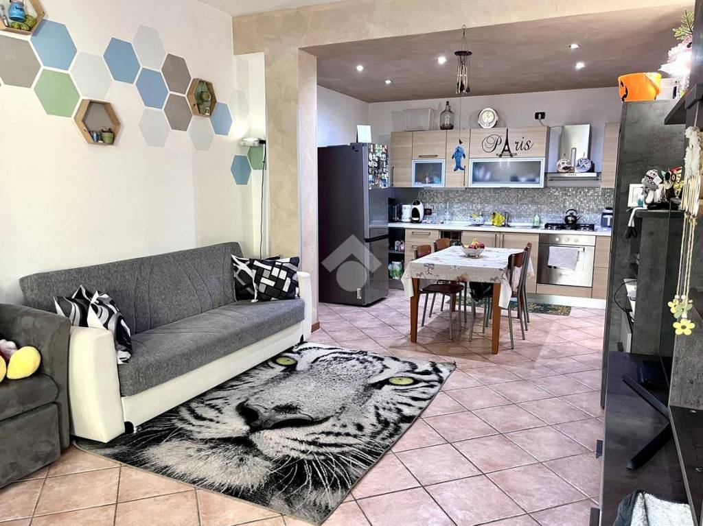 immagine annuncio 1 di 15