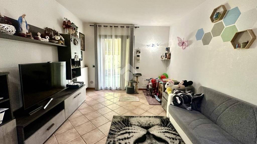 immagine annuncio 5 di 15