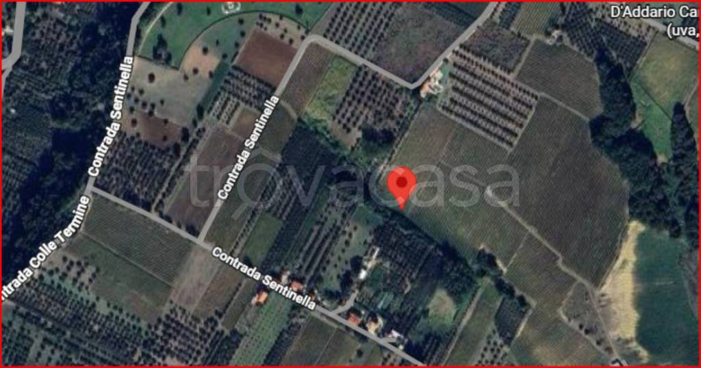 immagine annuncio 13 di 14