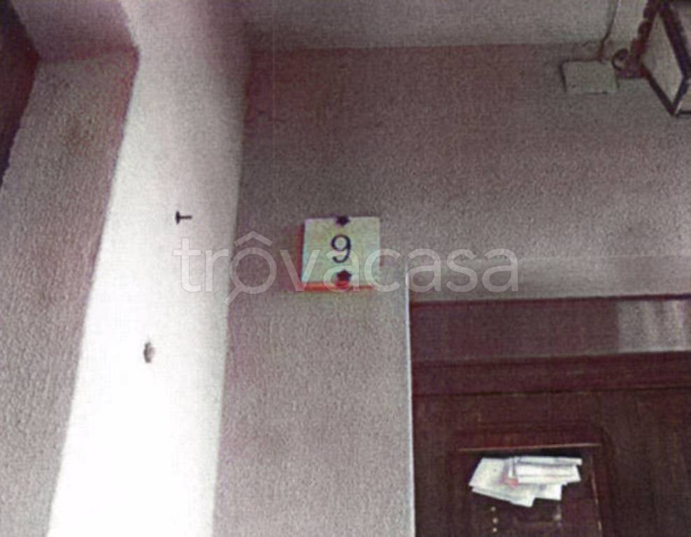 immagine annuncio 6 di 14