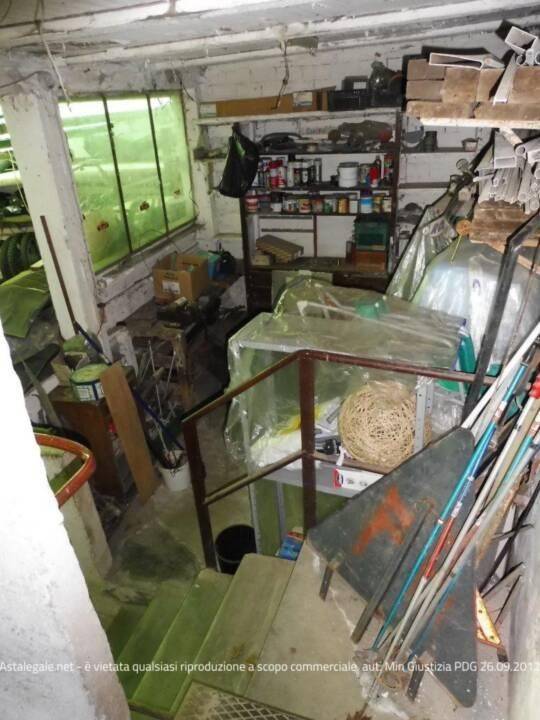 immagine annuncio 12 di 15