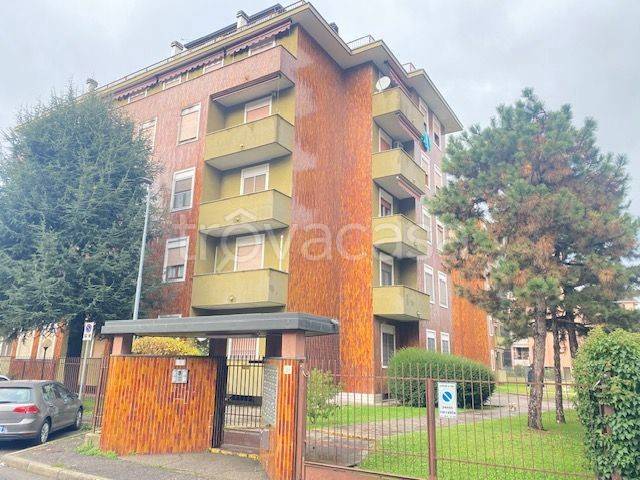 immagine annuncio 1 di 14