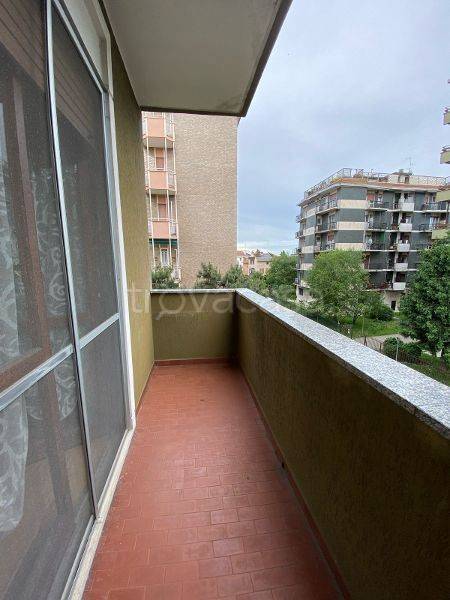 immagine annuncio 12 di 14