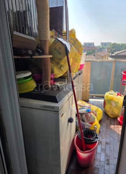 immagine annuncio 6 di 15