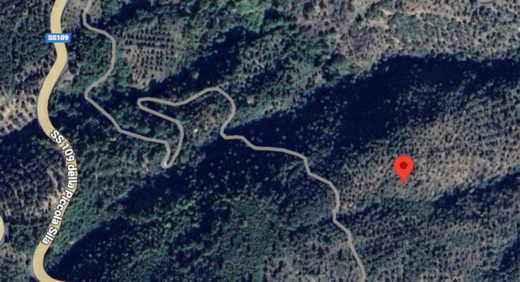 immagine annuncio 7 di 11