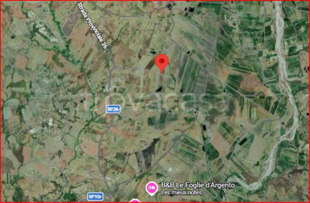 immagine annuncio 10 di 11