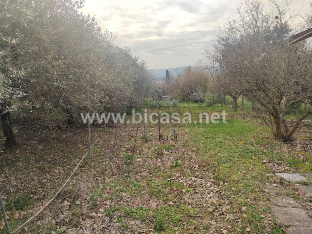 immagine annuncio 4 di 11