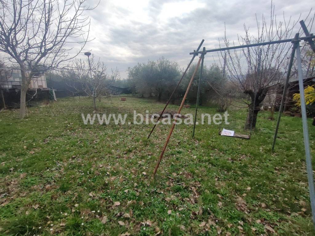 immagine annuncio 9 di 11