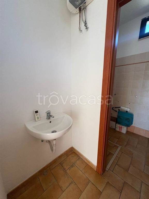 immagine annuncio 9 di 14