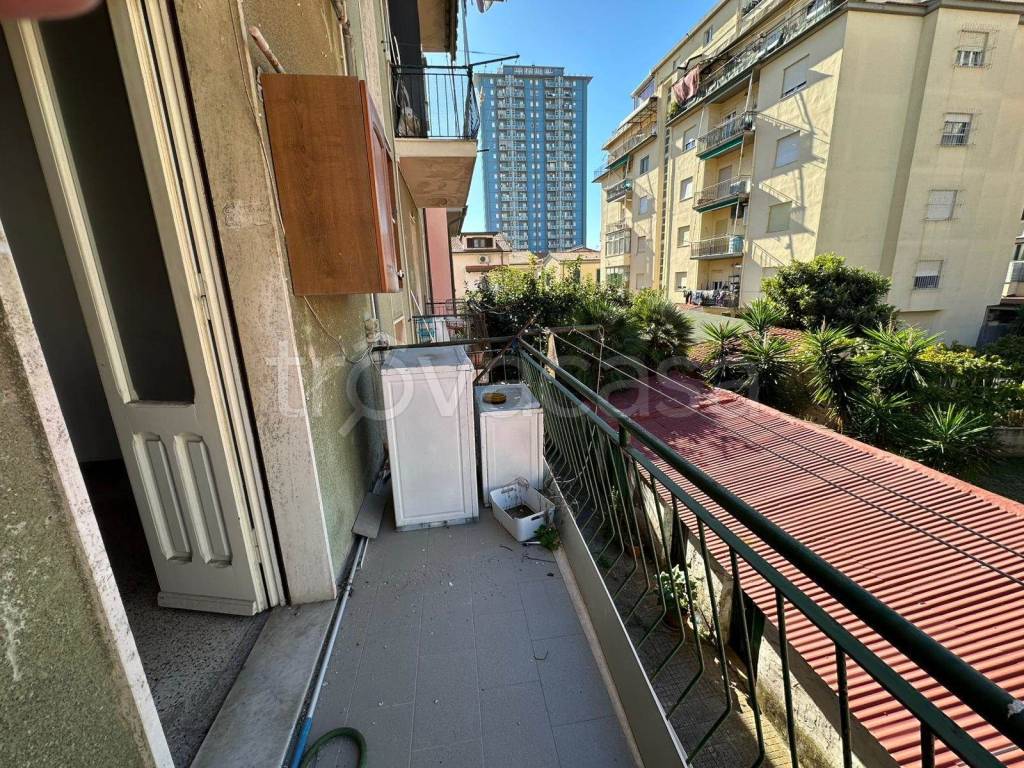 immagine annuncio 4 di 14