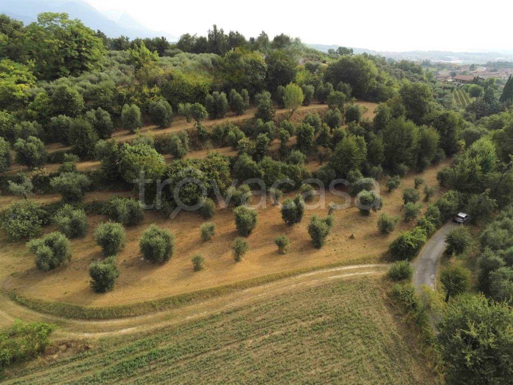 immagine annuncio 5 di 6