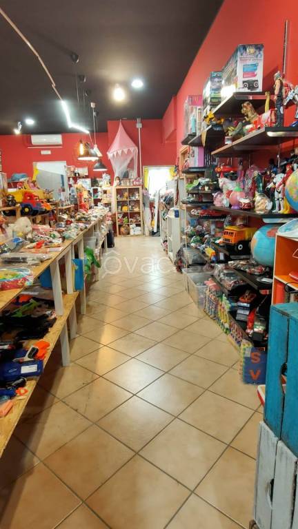 immagine annuncio 5 di 11