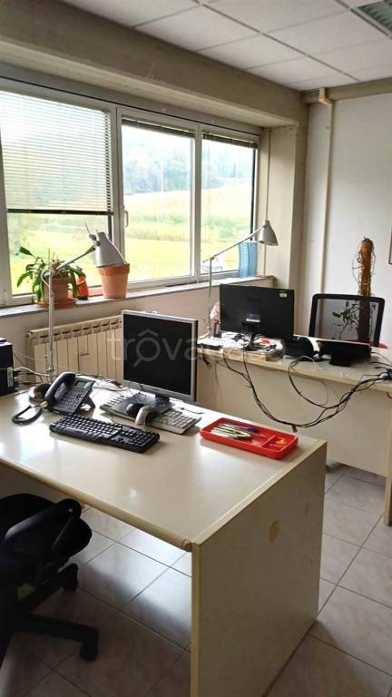 immagine annuncio 3 di 7