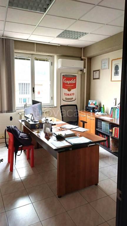 immagine annuncio 4 di 7