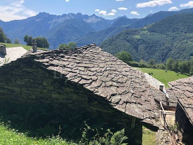 immagine annuncio 3 di 8